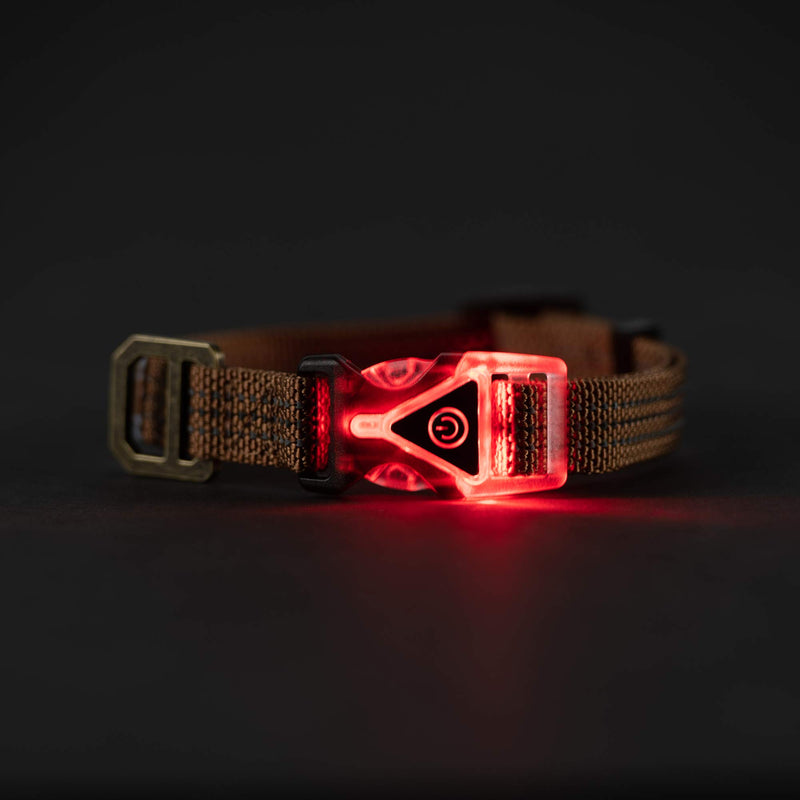 [Australia] - Carhartt Lighted Dog Collar,  Premium Collar With Built-In 3 mode red LED safety light for night time visibility Medium Carhartt Brown 