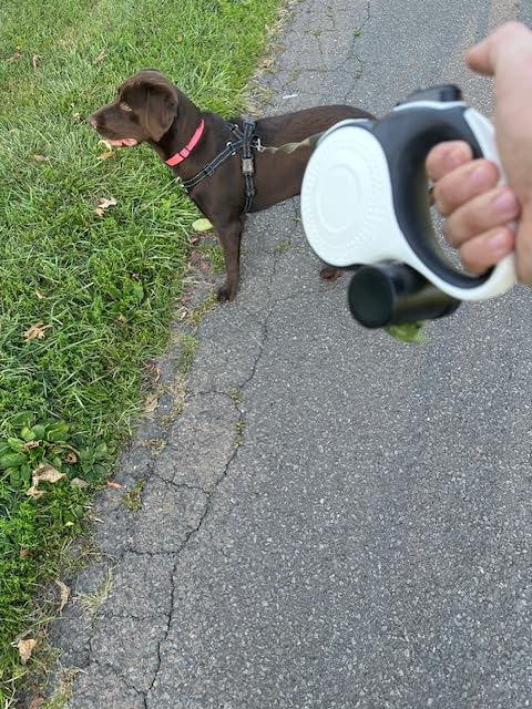 Retractable Dog Leash 26 ft Long with Poop Bag Dispenser & Light - PawsPlanet Australia