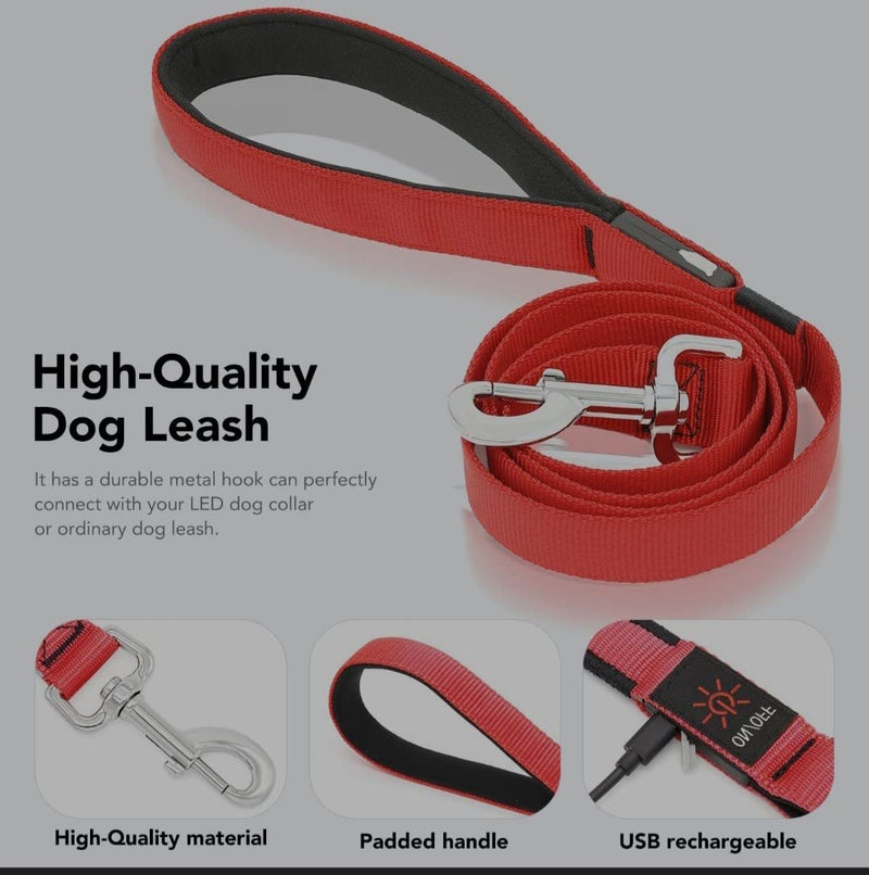 (Shared Products ) LED Dog Leash, Light Up Dog Leash, Micro USB Rechargeable, Waterproof, Nylon Webbing, Glow Safety Standard Dog Leashes (Ruby Red with 2 Reflective Wires) - PawsPlanet Australia