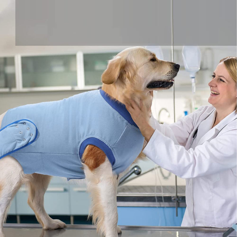 Dog Surgical Recovery Suits, Dog Recovery Suit, Cat Onesie After Surgery, Dog Body Suit Recovery, Surgery Suit for Male Female Dog Cat, Anti-Licking Pet Surgical Recovery Snuggly Suit XS Blue - PawsPlanet Australia