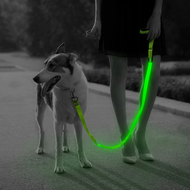 [Australia] - HiGuard LED Dog Leash - USB Rechargeable 4ft/120cm Long Nylon Webbing Pet Safety Leash - 3 Flashing Modes Light Up Perfect for Night Walking Neon Green 