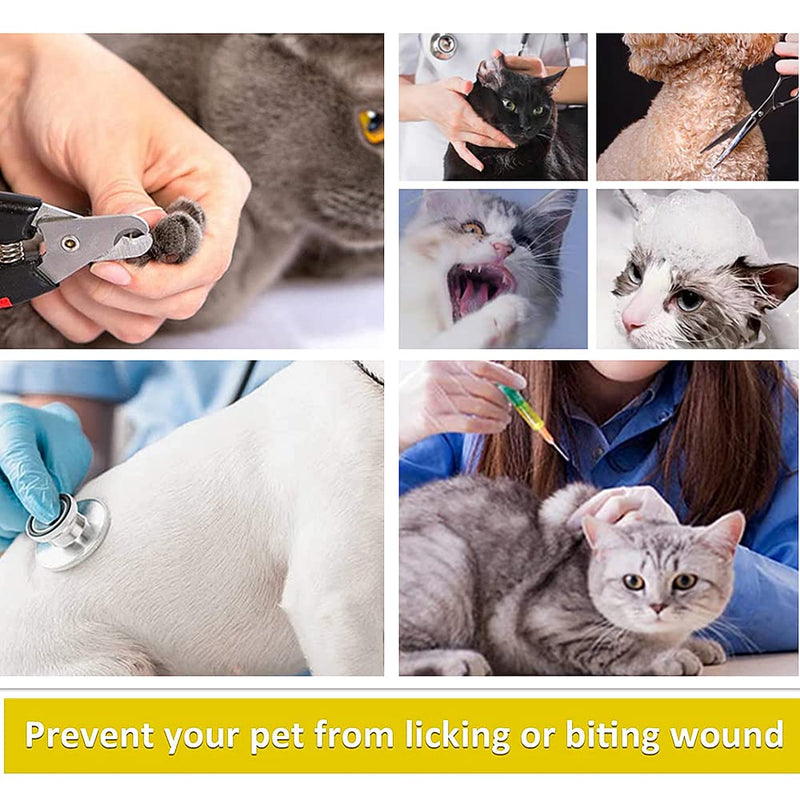 2 Pcs Pet Cone Collar Cute Comfy Pet Recovery Collar Protective Cat Cone Alternative Adjustable Collar for Cat and Puppy Lightweight Elizabeth Protective Collar - PawsPlanet Australia