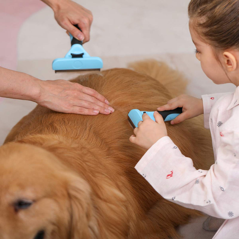 Samply Dog Shedding Brush for Long& Short Hair Pets Deshedding Tools for Dogs and Cats Small Blue - PawsPlanet Australia