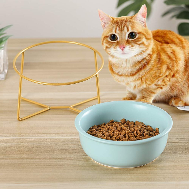 HCHLQLZ Blue Small Ceramic Tilted Elevated Cat Dog Bowl Raised Cat Food Water Bowl Dish Pet Comfort Feeding Bowls with Gold iron stand - PawsPlanet Australia