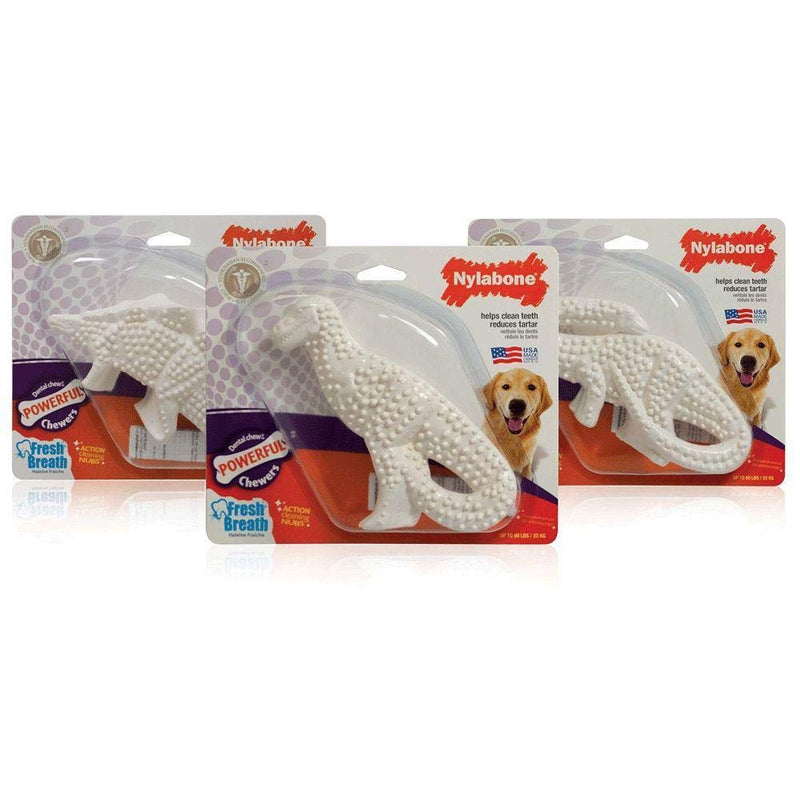 [Australia] - Nylabone Durable Dental Dinosaur Dog Chew 