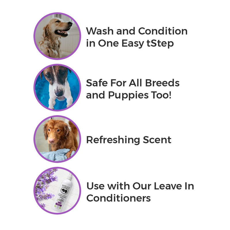 [Australia] - BarkLogic 2 in 1 Natural Dog Shampoo and Conditioner with Essential Oils, 16 oz, Hypoallergenic Plant Based Formula for Sensitive Skin Lavender 