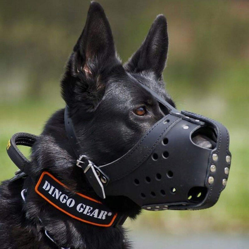 DINGO GEAR Dog Training Muzzle for Defence, Training and Service HQ Leather Handmade Lightweight S03031 - PawsPlanet Australia