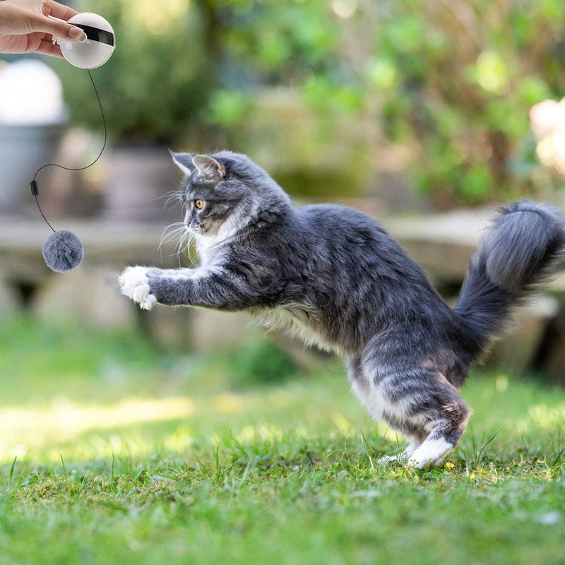 Automatic Interactive Cat Toys - Cat Teaser Ball with 4 Refills - Cat Plush Toy & Feather Toy - Up and Down for Indoor Cats - PawsPlanet Australia