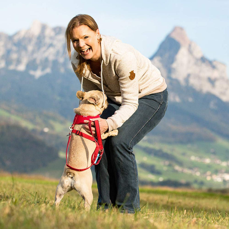 [Australia] - Curli Basic Harness Air-Mesh Dog Harness Pet Vest Adjustable Step-in Light Harness S Pink 