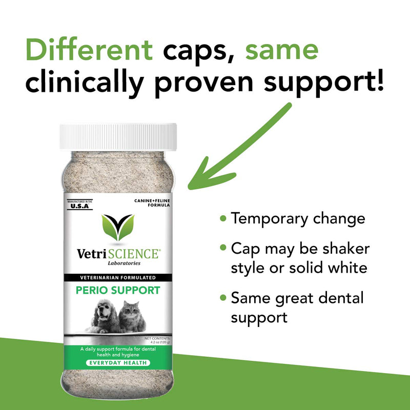 VETRISCIENCE Perio Support Teeth Cleaning Powder for Cats and Dogs, 4.2oz – Reduce Plaque By 20% - Bad Breath and Tartar Control – Vet Recommended, 900988.005 - PawsPlanet Australia