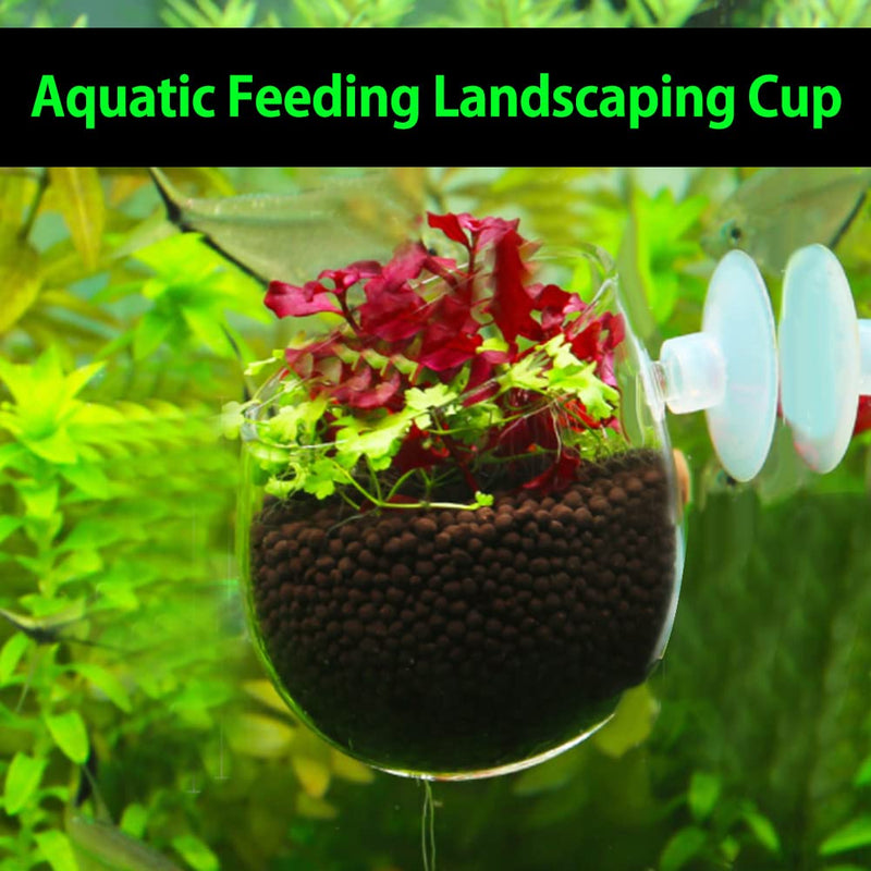 Aquarium Red Worm Fish Feeder Transparent Suction Cup Fish Tank Feeding Cup Food Container for Feeding Shrimp Fish(Acrylic Crack Cup) Acrylic Crack Cup - PawsPlanet Australia