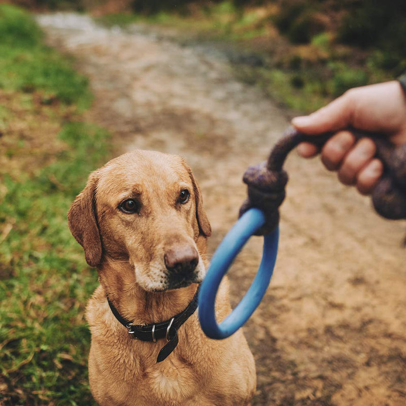 Beco Pets Hoop on Rope - Natural Rubber Hoop and Cotton Rope Tug and Chew Toy for Dogs - S - Blue - PawsPlanet Australia