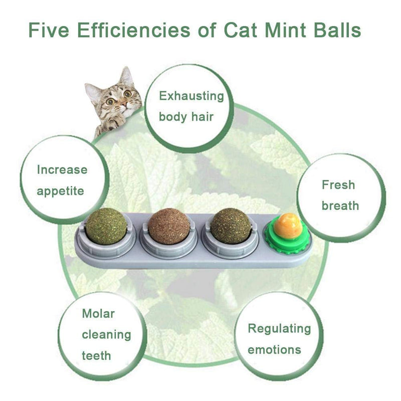 PeSandy Catnip Wall Ball, Rotatable Cat Snack Ball Toy Contains Catnip/Sugar Lick/Gall Nut/Silvervine, 4 in 1Self-Adhesive Edible Catnip Toys for Cats Cleaning Teeth and Protecting The Stomach Grey - PawsPlanet Australia