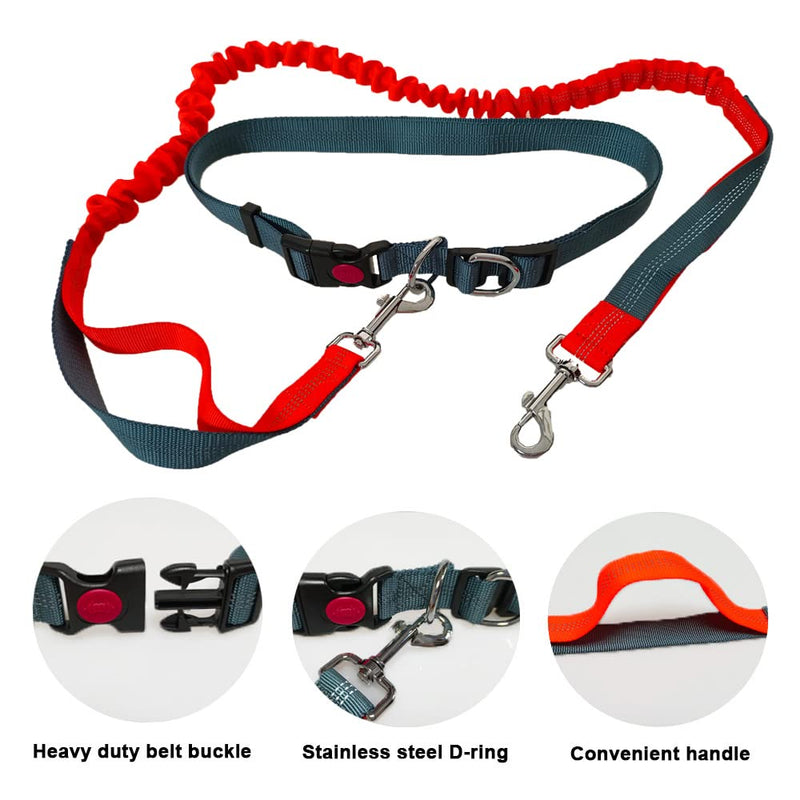 QitinDasen Hands-Free Dog Leash, Gray Adjustable Waist Belt and Orange Stretchy Bungee Leash, Jogging Dog Leash with Reflective Stitching - PawsPlanet Australia