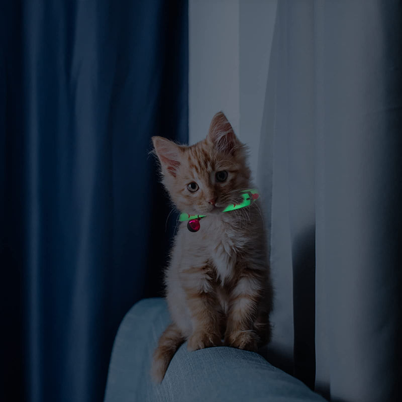 2Pcs Glow in The Dark Cat Collars with Bell, Adjustable (20-30cm) Pet Collars with Metal Buckle, Suitable for All Cat and Small Dog Fish - PawsPlanet Australia