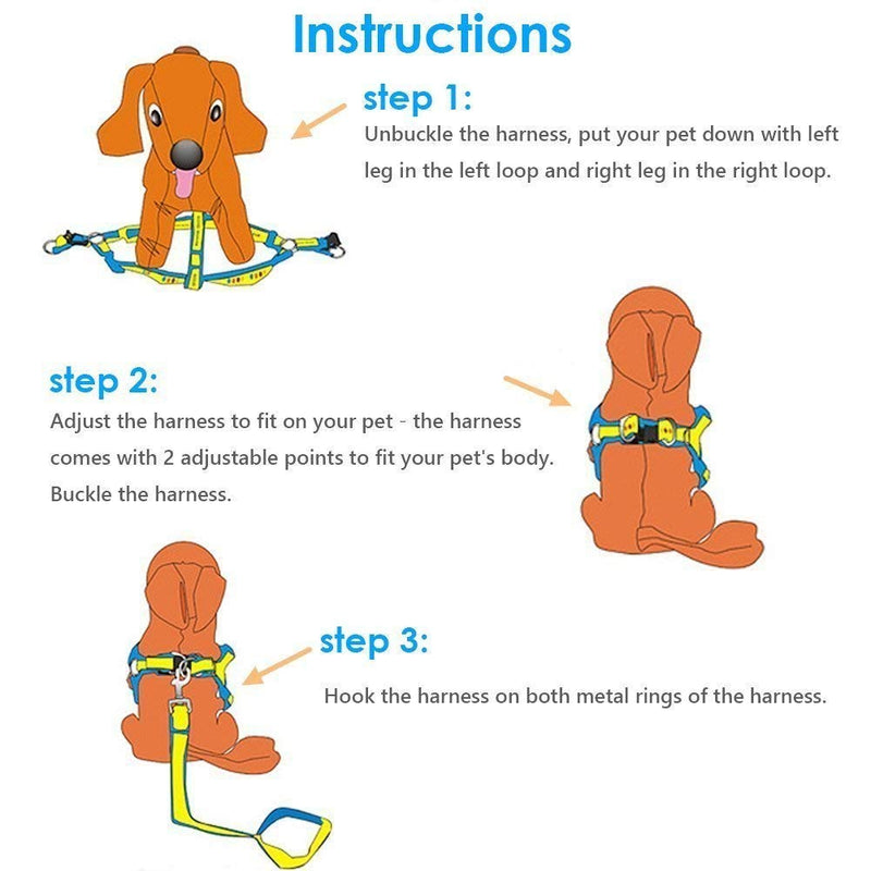 [Australia] - QQPETS Dog Harness Leash Set,Adjustable Vest Durable Heavy Duty Puppy Small Medium Large Dogs Perfect for Walking Running Training Bone Pattern M 