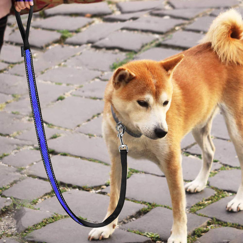 PcEoTllar Durable Dog Leash Comfortable Padded Handle Dog Lead Reflective Nylon Dog Leash 4ft/ 120cm Training Walking Leash Strong for Large Medium Small Dogs - Blue - PawsPlanet Australia