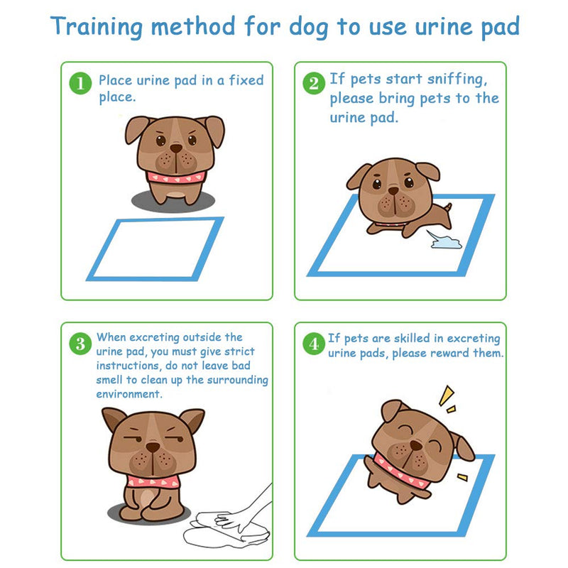 Dono Pet Training Pee Incontinence Pad for Dogs & Cats New Puppy House Training Pads Mats for Younger Pets, Adult Pets Including 20 PCS 60 * 90cm Anti Slip & Leakproof Super Absorption XL (20 Count) - PawsPlanet Australia
