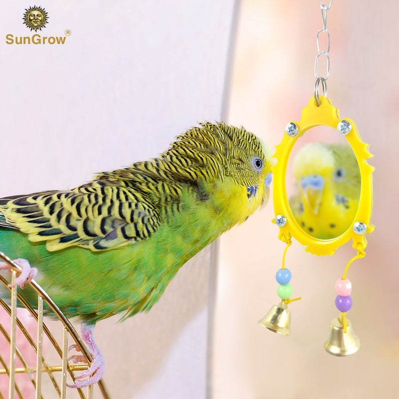 [Australia] - SunGrow Fancy Bird Toy Mirror with Bells, 11-inches (Height) 3-inches (Width), Plastic Edging and Beads, Colorful, Attractive and Easy to Install Pet Toy for Parakeets, Cockatoos, Canaries 