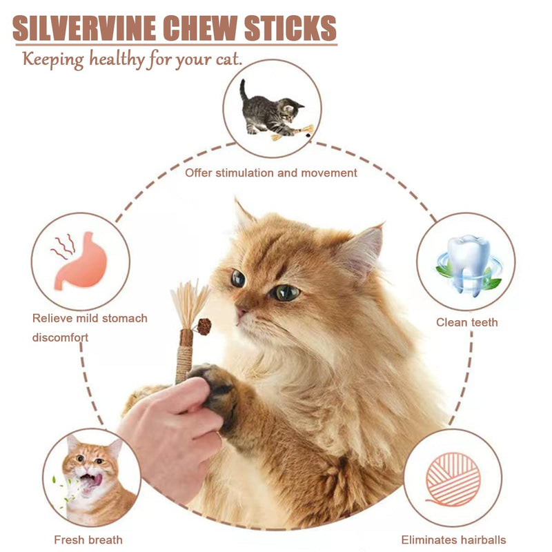 Tsathoggua catnip sticks, 4 pieces catnip toys, interactive cat toy, cat toy, cat toy for removing tartar, refreshing breath, organic interaction cat grass - PawsPlanet Australia