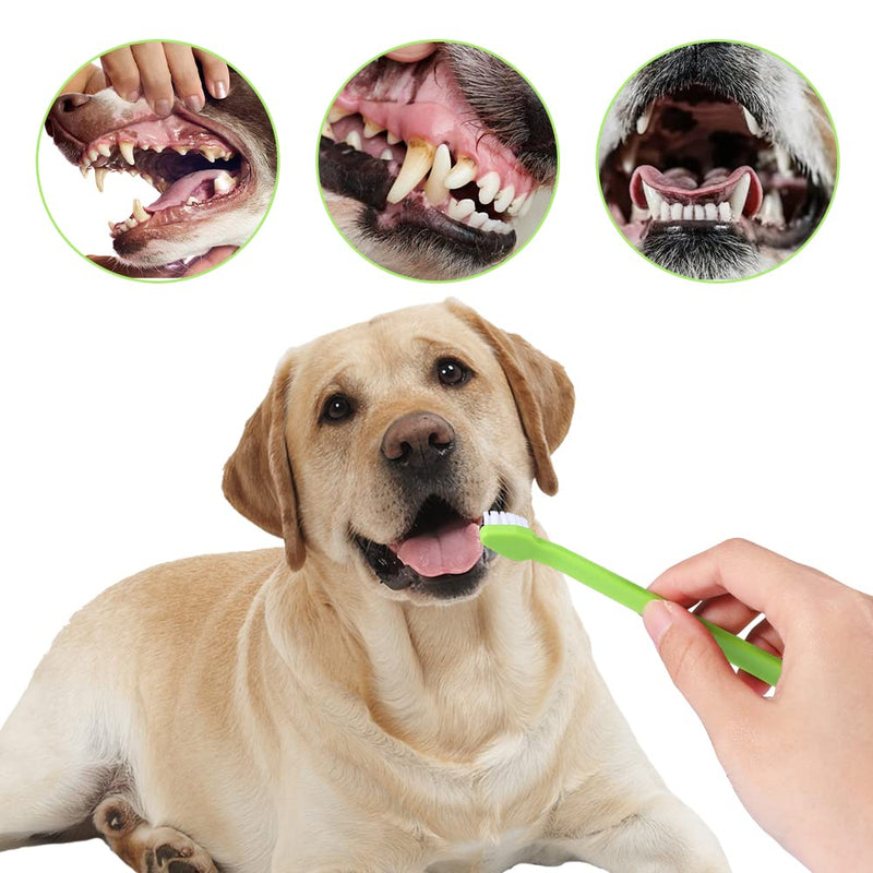 Dog Toothbrush, Pack of 4 Pet Toothbrushes, 2 Triple Head Dog Toothbrushes and 2 Long Handle Dog Toothbrush, Pet Toothbrush for Dogs and Cats (Multi-Coloured) - PawsPlanet Australia