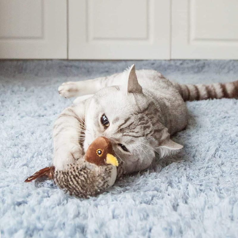 GiGwi Chirping Bird Cat Toy, Interactive Cat Squeak Toy Melody Chaser Bird Toys for Cats to Play Alone, Funny Squeak Kitten Toy for Boredom - PawsPlanet Australia