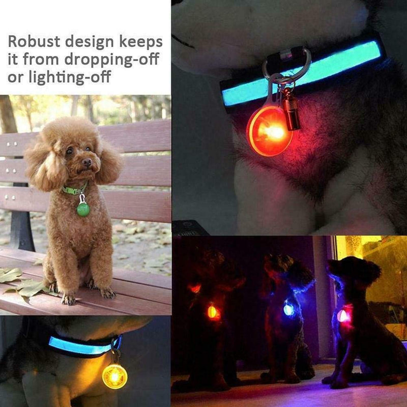 Dog Light, Dog Collar Light, Dog Leash Light, LED Collar Light, Clip-On Pet Collar Light Pet Safety Light for Night Walking 6 Pack (Colorful) - PawsPlanet Australia