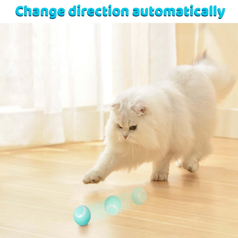Mkitnvy Interactive Cat Toy Ball, Cat Ball with LED Light, 360° Self-Rotating Electronic Cat Ball, Stimulating Hunting Drive, Funny Balls Toy for Cats, Blue - PawsPlanet Australia