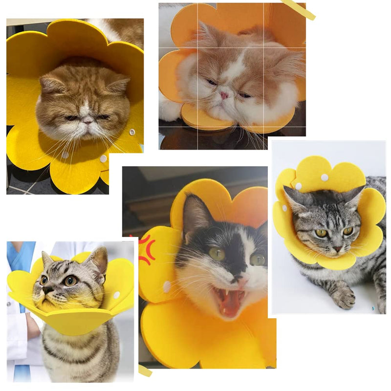 2 Pcs Pet Cone Collar Cute Comfy Pet Recovery Collar Protective Cat Cone Alternative Adjustable Collar for Cat and Puppy Lightweight Elizabeth Protective Collar - PawsPlanet Australia