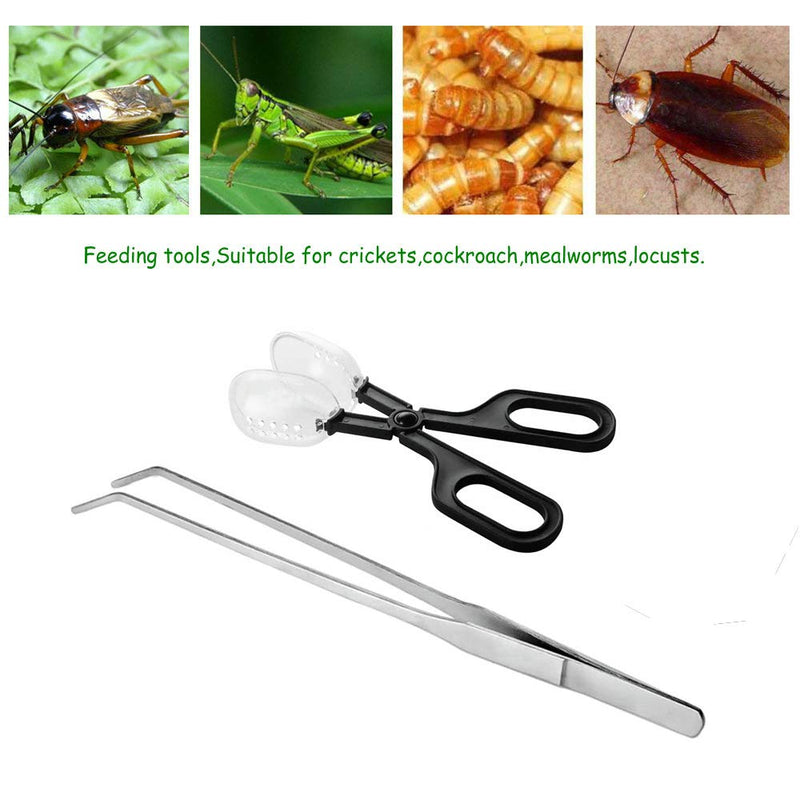 ABMRO Reptile Feeding Tool,Cleaning Clamp and Long Feeding Tweezers for Hamsters,Insects,Turtle,Snake,Spider,Frog,Gecko,Chameleon and Other Small Animals - PawsPlanet Australia