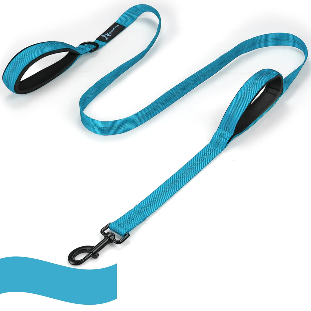 PuppyDoggy Dog Leash for Large and Medium Dogs 2 Padded Handles with Reflective Threads Durable Dog Rope Pet Leash 1.8 m (Blue 1 Pack) (1.8 m x 2.5 cm) - Blue 1 Pack - PawsPlanet Australia