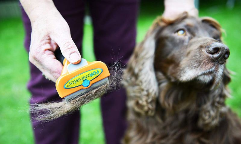 FURminator Long Hair DeShedding Tool for Medium Dogs - PawsPlanet Australia