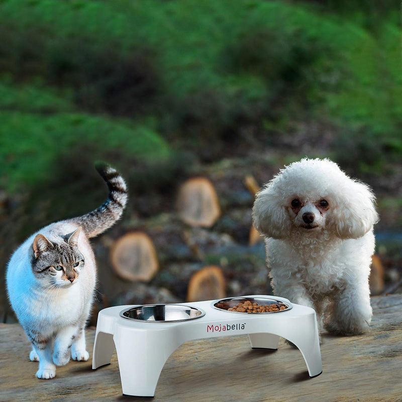 [Australia] - Mojabella Elevated Dog Bowls Raised for Small Dogs, Raised Cat Bowls Elevated Elegant & Durable - Replacement Stainless Steel Bowls Available Soon SM-M 13.4" x 6/7.5" x 4.1" Inch High 