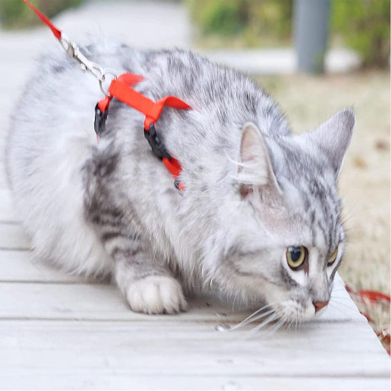 TOTQX Red Cat Harness Adjustable, Escape-Proof cat Vest, cat Harness with Leash, for Cats Small Dogs Rabbits Reflective Stripes cat Vest - PawsPlanet Australia
