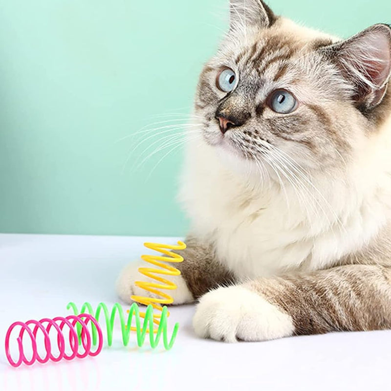 DDKY 20 pieces cat toy, cat toy, toy cat, spiral toy, cat toy spiral, lots of fun playing, suitable for pets to play - PawsPlanet Australia