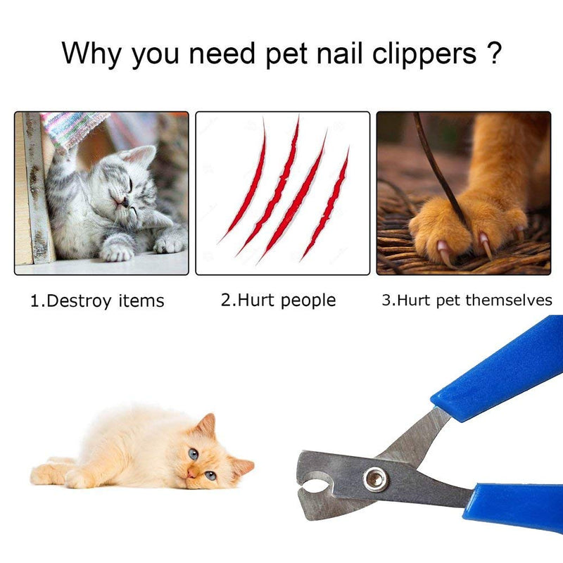 Pet Dog Cat Nail Clippers - Best Cat dog Toenail Clippers & Nail Trimmer for Paw Grooming - Cat Claw Clippers Scissors & Nail Cutter for Small animal Tiny Dog, Cat, Rabbit, Bird, Puppy, Kitten 3Pack - PawsPlanet Australia