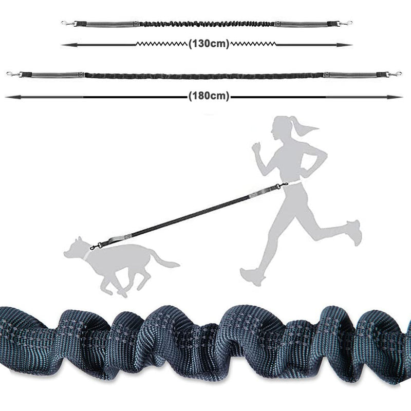 Aiqeer Gray Hands-Free Dog Lead, Adjustable Waist Belt and Stretchy Bungee Lead, Jogging Dog Lead with Reflective Stitching (Orange Handle) - PawsPlanet Australia