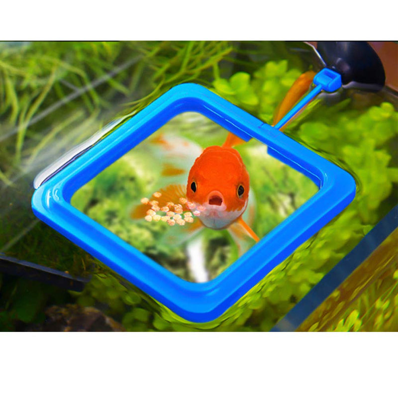 8Pcs Floating Fish Feeding Ring and Worm Feeding Cup with Suction Cup,Fixed-Point Feeding,Square and Round Shape Fish Ring Feeder,Easy to Install Aquarium - PawsPlanet Australia