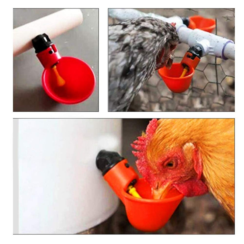 Chicken Drinker Cups 10Pcs Automatic Plastic Poultry Drinker Waterer 1/2inch Tee Water Drinking Dispenser Cups Bowls for Bird Quail Pigeon Hen Livestock - PawsPlanet Australia