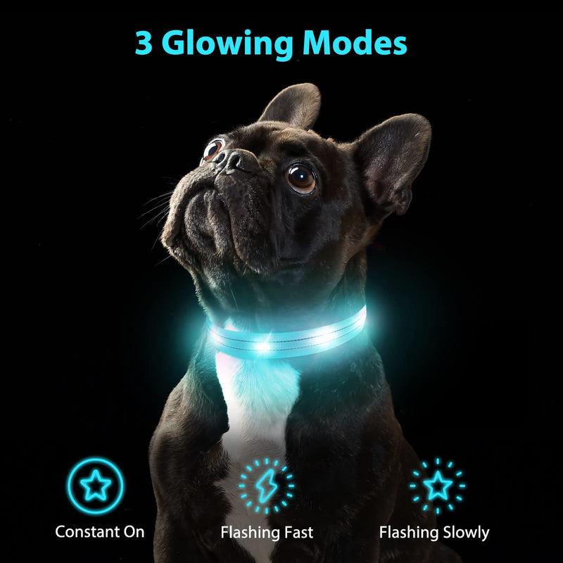 Dog Collar Luminous Collar Waterproof Light Up LED Dog Collar USB Rechargeable Flashing Reflective Dog Collars Adjustable Super Bright for Large Medium Small Dogs, Blue-S S (28-40cm, 2cm) - PawsPlanet Australia