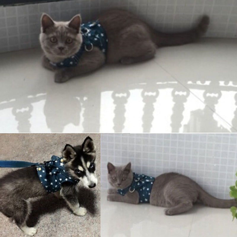 [Australia] - Bro'Bear Pet Stars Vest Mesh Harness and Leash Set Blue for Cats & Small Dogs Blue 