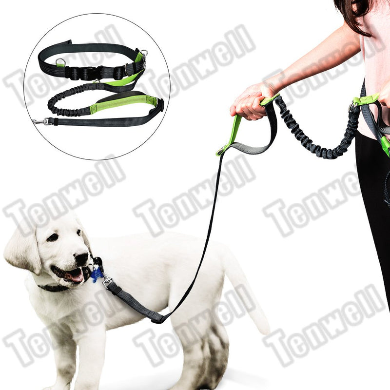 [Australia] - Tenwell Pets Reflective Hands Free Dog Leash with Adjustable Waist Belt Dual Handle Running Leash for Running, Walking, Hiking single bungee Green 