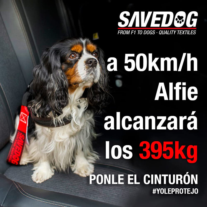 PONSA SAVEDOG. Dog seat belt. The safest harness on the market. Load capacity 1,000KG. Meets ISO 27955:2010 requirements. Ref.027172050102 volume - PawsPlanet Australia