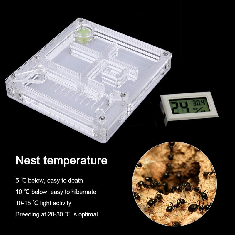 Live Ant Farm Acrylic Insect Breeding Box Transparent Ant Display Box Ant Feeding Box Ant Habitat - PawsPlanet Australia