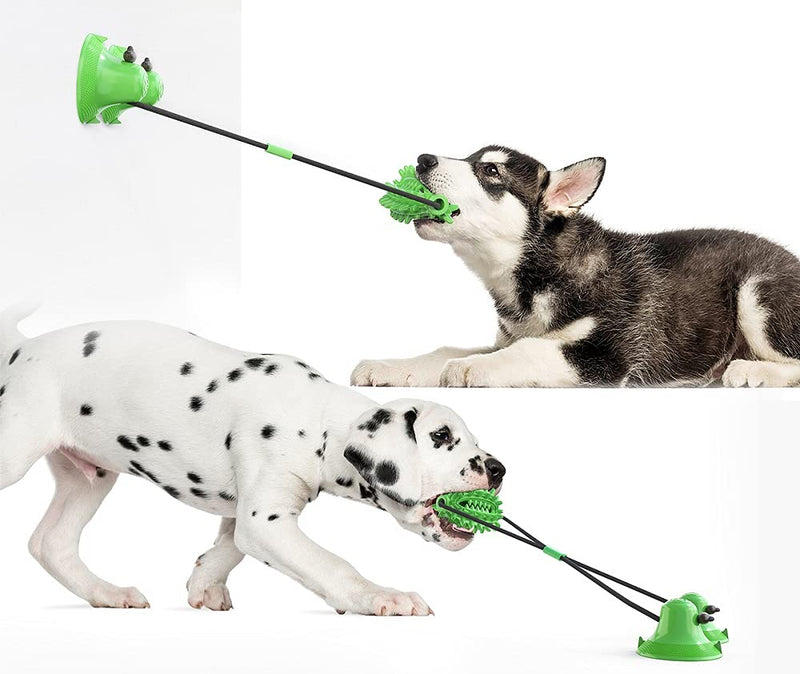 Hallwayee Dog Double Suction Cups Chew Toys Indoor Powerful Tether Ball with Elastic Rope Toy Dog Food Dispensing Toys Molar Bite Squeaky Toys Water Floating Ball Toys Green Cactus - PawsPlanet Australia