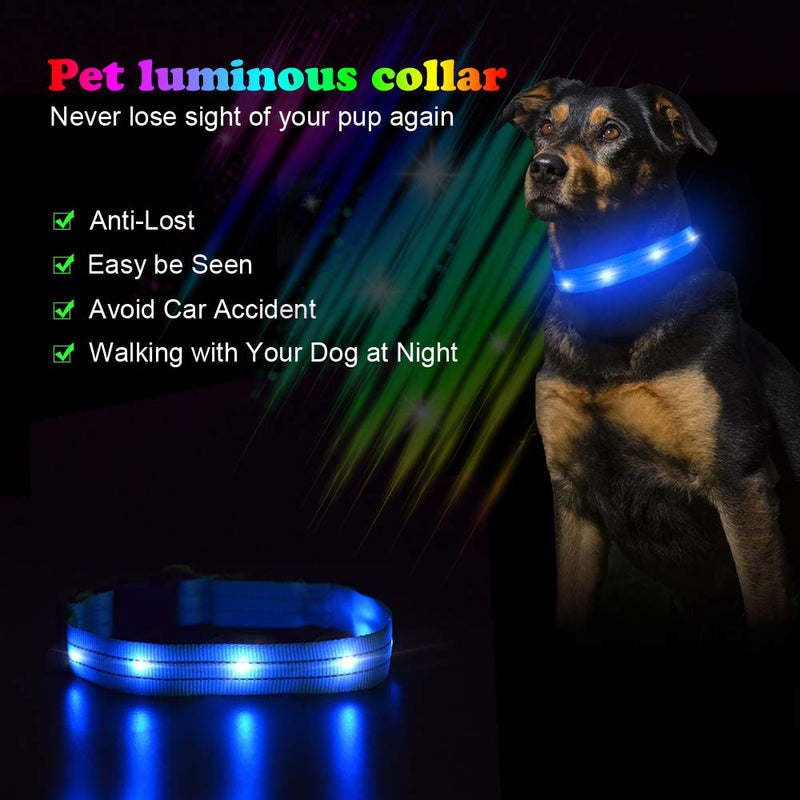 [Australia] - LED Dog Collar - Rechargeable Light Up Safety Pet Collar - Waterproof Flashing Light Up Dog Collar, Basic Dog Collars L(19-23.6"/48-60cm) Blue 