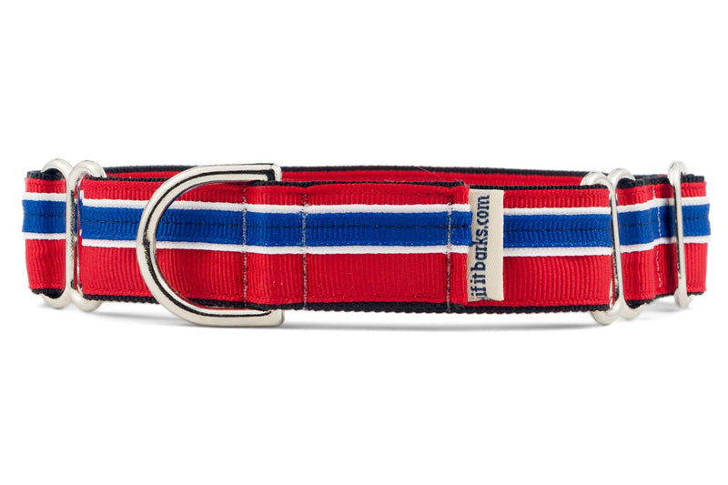 [Australia] - If It Barks 1" Martingale Collar for Dogs, Adjustable Nylon, USA Made Medium (15"-22") Patriotic 