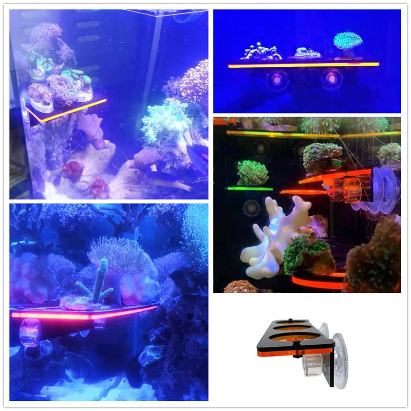 Coral Frag Holder Acrylic Coral Rack with Powerful Double Suction Cup Suitable for Household Fish Tanks (2pcs 3 Plug Hole,Fluorescent Green and Orange) - PawsPlanet Australia