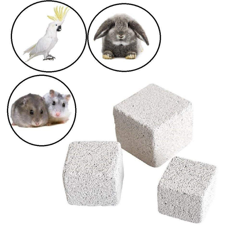 [Australia] - Hamster Chew Toy Lava Teeth Grinding Square Stone For Hamsters Chinchillas and Rabbits Mineral Stone Calcium Chew Toy for Small Animal(Pack of 10) 