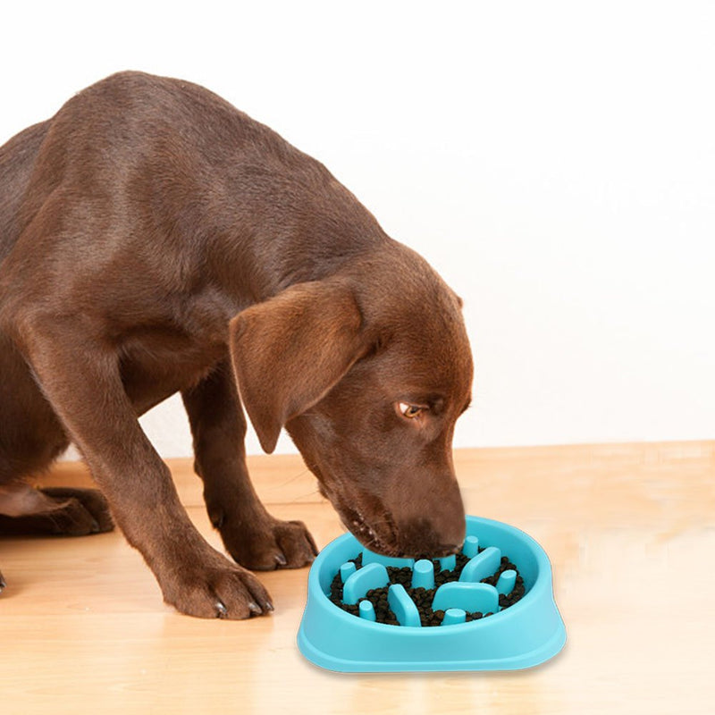 Decyam Slow Feeder Dog Bowl Slow Eating Dog Bowl Pet Puppy Fun Puzzle Feeder Non Skid Bloat Stop Feeding Bowl blue 1 - PawsPlanet Australia